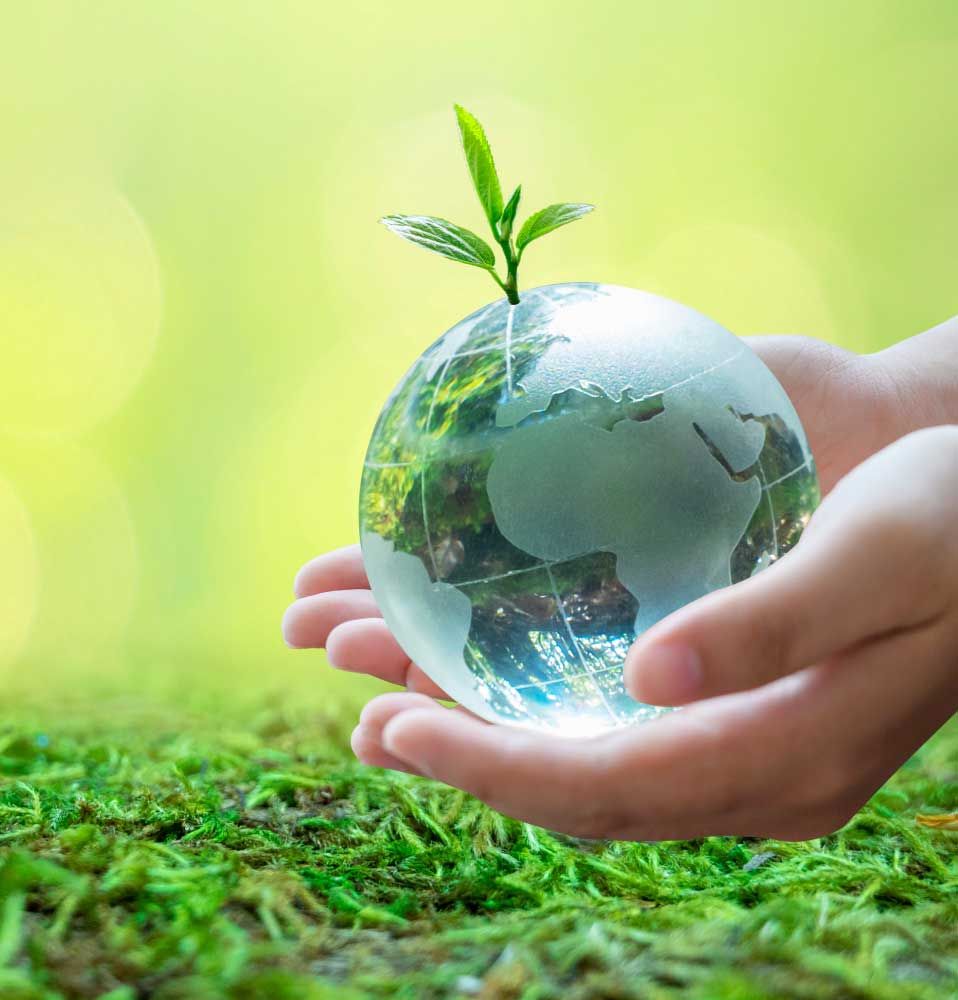 Two hands cradling a glass global with a plant growing from the top